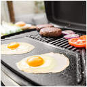 BARBACOA CECOTEC PERFECT COUNTRY 2000W C/PAT 3061