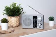 RADIO PORTATIL ELBE NOVEEN PR451 PLATA