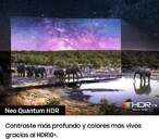 TV SAMSUNG 75%%%quot; TQ75QN85C NEOQLED UHD HDR1500 120HZ
