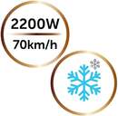 SECADOR REMINGTON D6098 2200W IONICO