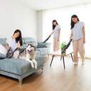 ASPI. MANO CECOTEC CONGA ROCK.MICRO 8378  MASCOTAS