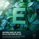 FRICOM. HISENSE RB390N4AWE 186x60 NF BLANCO