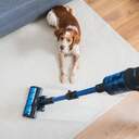 ASPI. ESCOBA CECOTEC 8500 INF.ERGOWET ANIMAL T 795