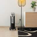 RADIADOR ACEITE CECOTEC R.WARM 11000 2500W  5885