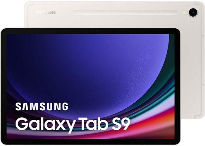 Samsung Galaxy Tab S9 12/256GB Beige