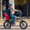 BICICLETA ELECTRICA SMARTGYRO RHINO