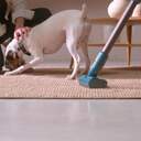 ASPI. ESCOBA TAURUS HOMELAND DIG.ANIMAL FLEX 29,4V